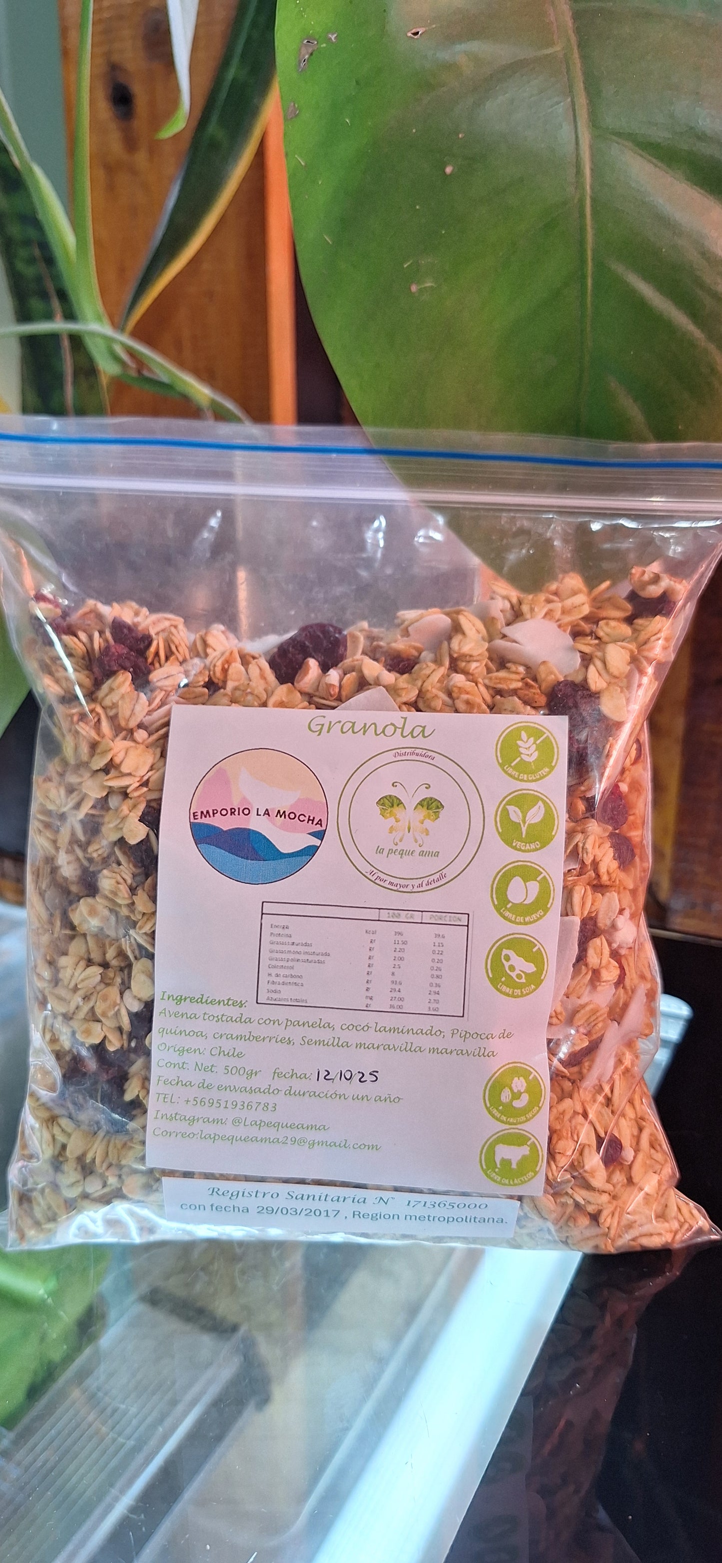 Granola 500 Gr