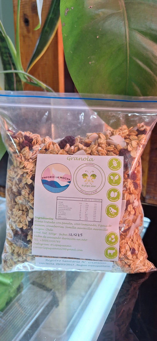 Granola 500 Gr